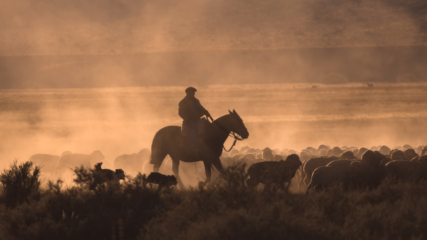 Čovjekov hipnotički san
