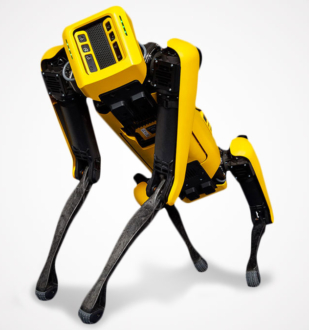 Pas robot