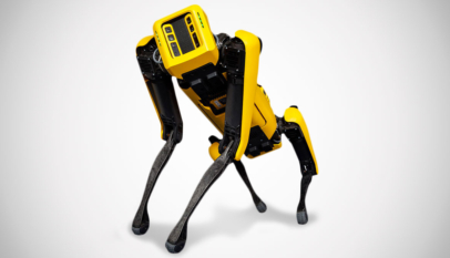 Pas robot