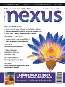 Magazin Nexus
